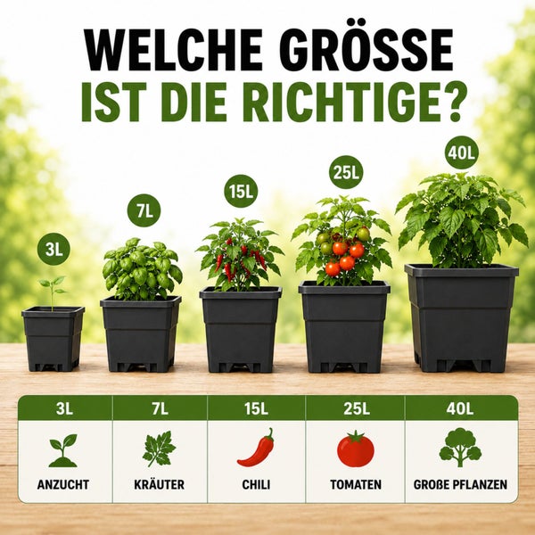 Größenvergleich von schwarzen quadratischen Pflanztöpfen von 3 Liter bis 40 Liter für Anzucht, Kräuter, Chili, Tomaten und große Pflanzen.
