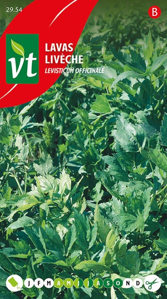 Liebstöckel Pflanzensamen Packung