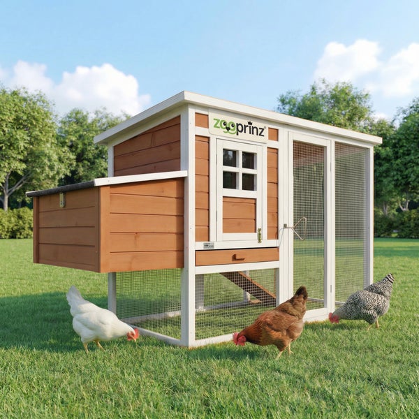 Hühnerstall aus Holz mit Zooprinz Logo, integriertem Auslauf, Legenest und Fenster auf einer Rasenfläche mit Hühnern.