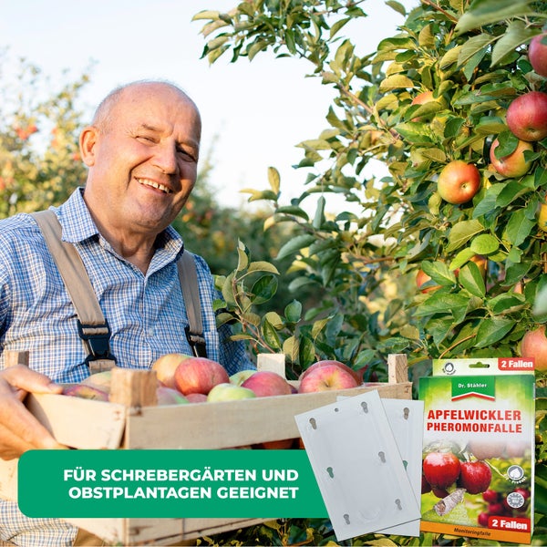Apfelwickler Pheromonfalle – Monitoringfalle zur Befallsüberwachung & Bekämpfung – Für Apfelbäume & Obstgärten – Ohne Insektizide