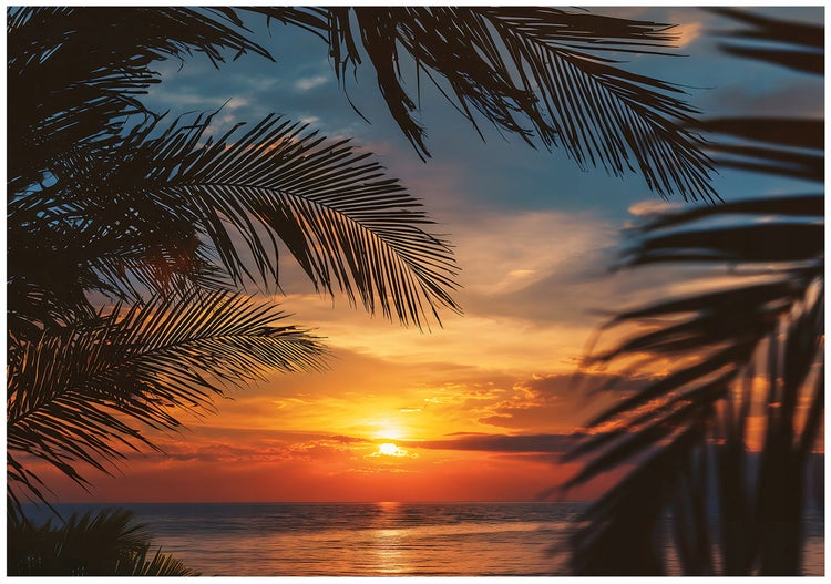 Sonnenuntergang am Meer, eingerahmt von Palmenblättern