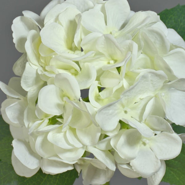Künstliche Hortensie mit weißen Blüten und grünen Blättern