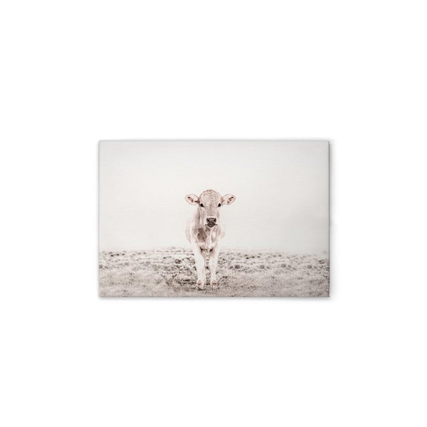 Leinwandbild mit einer jungen Kuh auf einer Weide
