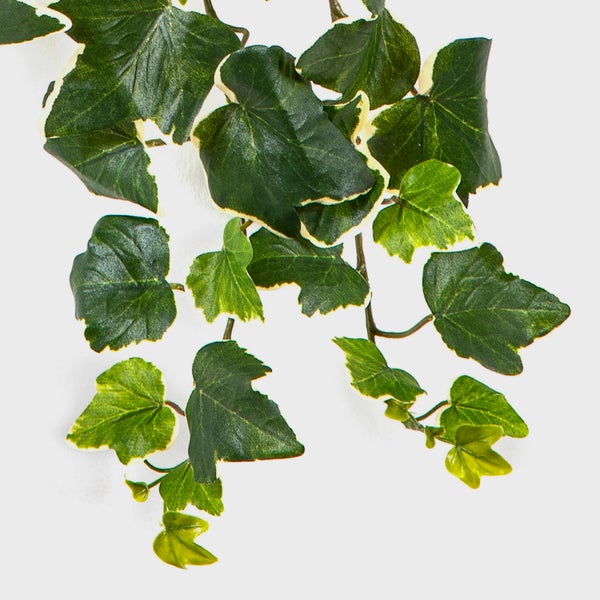 Künstlicher Efeu als Hängepflanze mit grün-weißen Blättern aus Kunststoff.