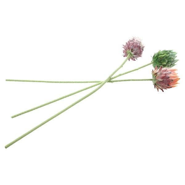 FRANK FLECHTWAREN | Blume Protea, 3er Set, 8 x 8 x 62 cm, KUNSTSTOFF