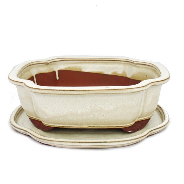 Bonsai-Schale mit Unterteller Gr. 4 hellbeige  haitang/oval Modell I4 L 26cm B 20,5cm H 8,5cm