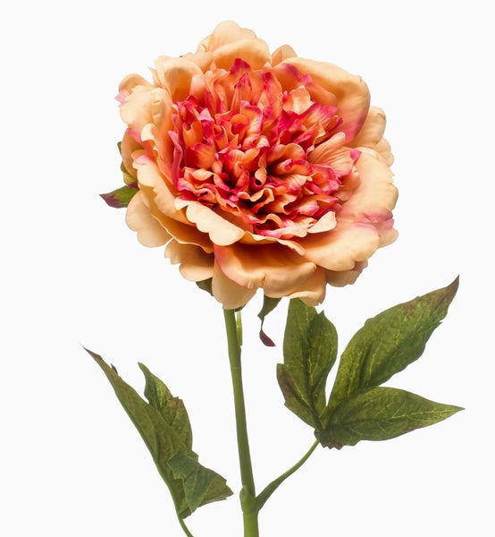 Künstliche Pfingstrose in Lachsfarben und Pink mit grünem Stiel und Blättern.