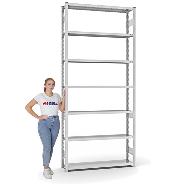 PROREGAL Fachbodenregal Stecksystem T-Profil Light-Duty Grundregal HxBxT 300 x 130 x 30 cm 7 Ebenen Fachlast 175 kg Beidseitig Nutzbar Lichtgrau