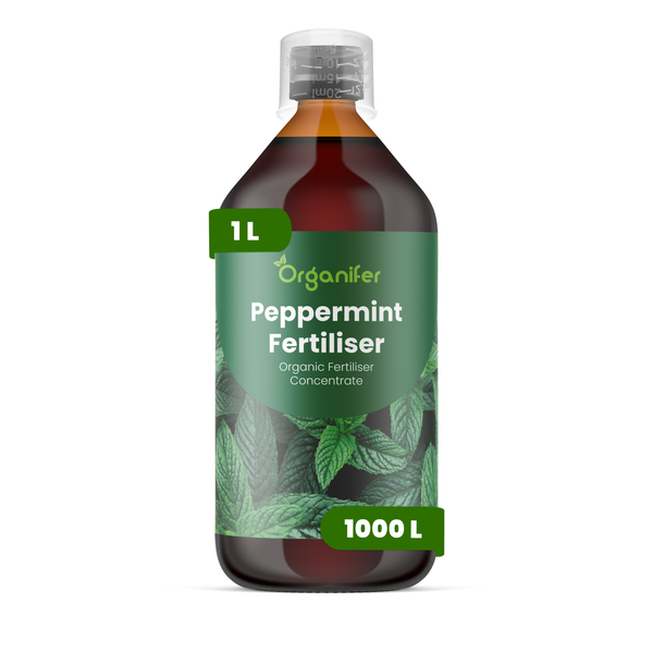 Organifer Peppermint Fertiliser, organisches Düngerkonzentrat in einer 1 Liter Flasche mit Messkappe, ausreichend für bis zu 1000 Liter Gießwasser.