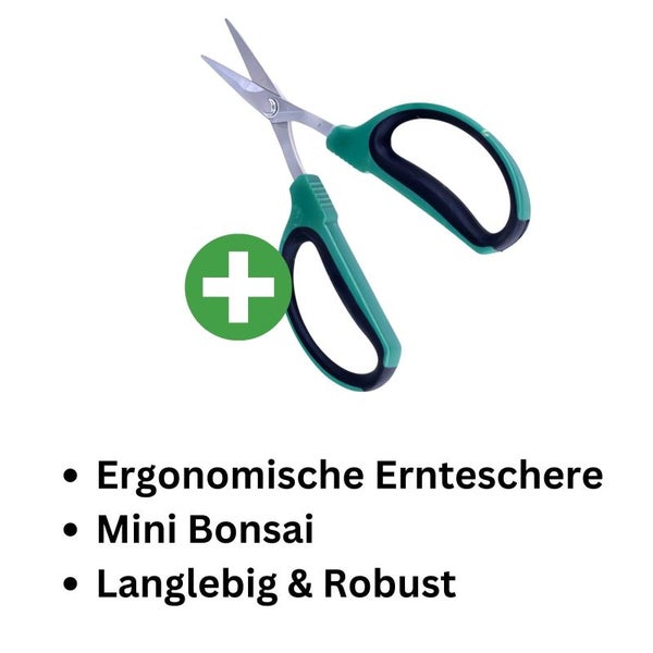 Bonsai-Schere mit breitem Griff – Präzisionsschere für Maniküre & Bonsai-Pflege | Ergonomisch, 40 mm Klinge, Komfortgriff für exakte Schnitte