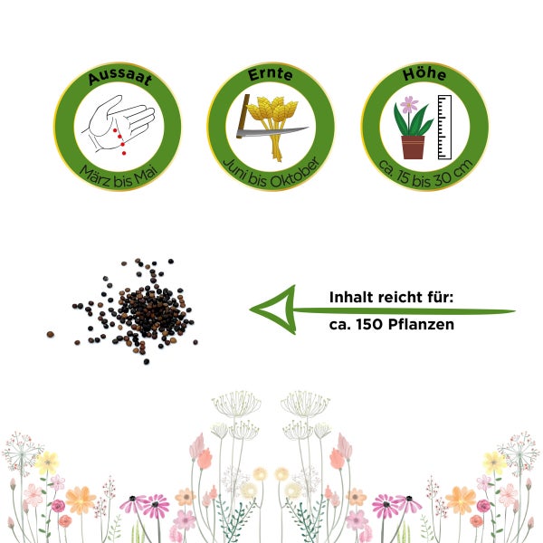 Thymian Deutscher Winter Samen von Deine Gartenwelt