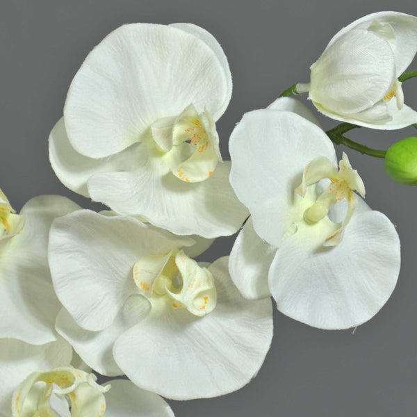 Künstlicher Orchideenzweig mit weißen Phalaenopsis Blüten und grünen Knospen an einem langen Stiel.