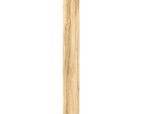 Wand- und Bodenfliese Aretino honey 24x150x0,85cm