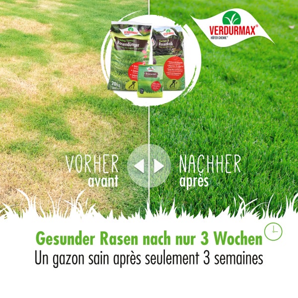 Vorher-nachher-Vergleich von Rasen mit Verdurmax Rasendünger, Rasenkalk und Rasensamen