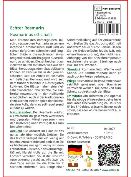 SAFLAX  - Echter Rosmarin - Rosmarinus officinalis - 100 Samen