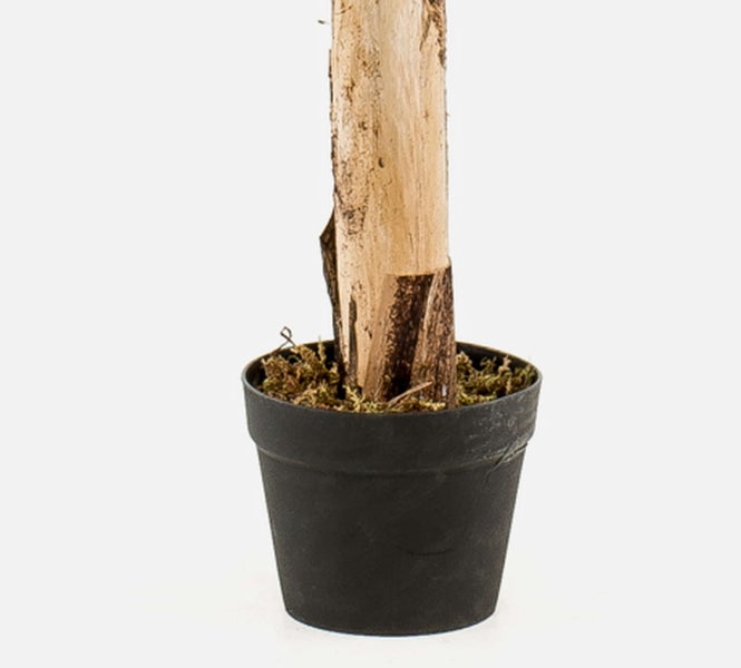 Kunstpflanze im schwarzen Kunststofftopf mit Holzstamm und Moos.