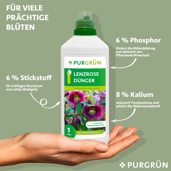 Purgrün Bio-Lenzrose-Dünger 1 Liter