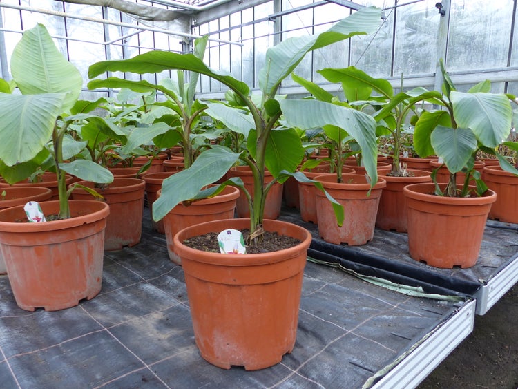 Eckregal aus Metall mit fünf Regalböden