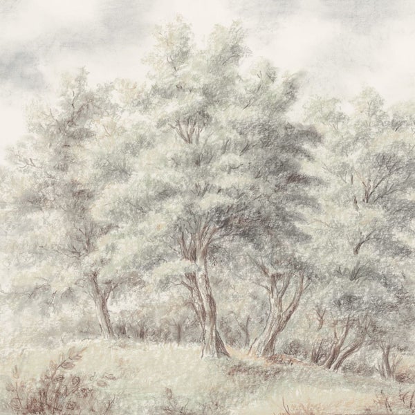 Illustration einer Waldlandschaft mit Bäumen und Wiesen