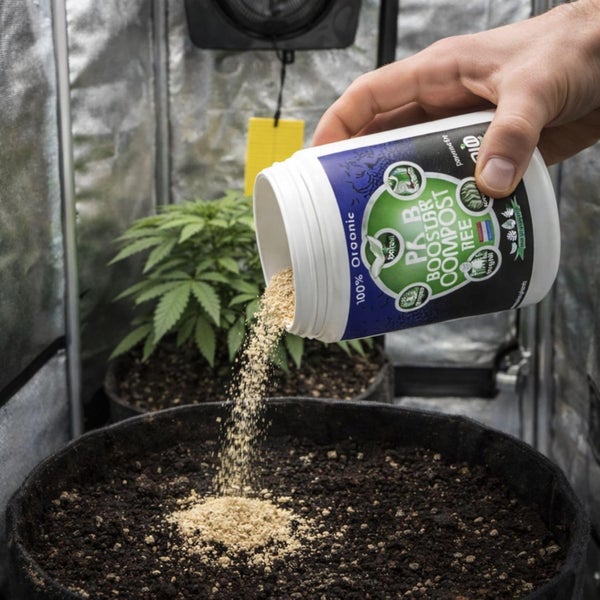Hand schüttet organischen Kompost-Booster aus einer weißen Dose auf Erde in einem Textilpflanztopf in einem Growzelt mit einer kleinen Pflanze.