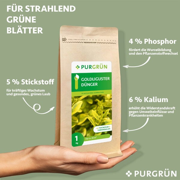 Purgrün Goldliguster-Dünger 1 kg