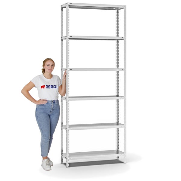 PROREGAL Fachbodenregal Schraubsystem Medium-Duty Grundregal HxBxT 250 x 100 x 30 cm 6 Ebenen Fachlast 200 kg Beidseitig Nutzbar Lichtgrau
