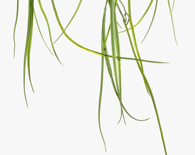 Künstliche Hängepflanze mit langen, schmalen grünen Blättern.