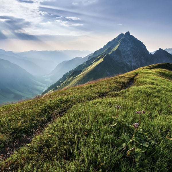 Berglandschaft mit Wiesen im Vordergrund