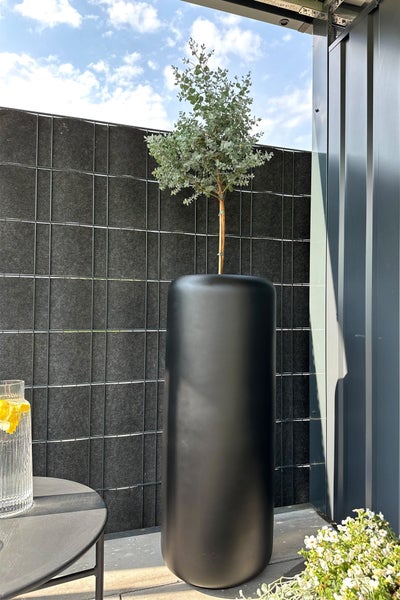 Hoher, abgerundeter schwarzer Pflanzkübel in Zylinderform mit einem Eukalyptusbaum auf einer modernen Terrasse mit Sichtschutz.