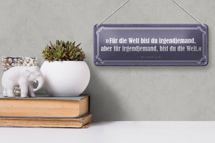 Blechschild Spruch 27x10cm für Welt bist du irgendjemand Dekoration