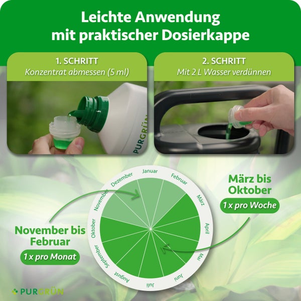 Anwendungshinweise für Purgrün Dünger mit Dosierschritten und Kalender für die monatliche oder wöchentliche Düngung von März bis Oktober.