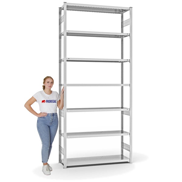 PROREGAL Fachbodenregal Stecksystem T-Profil Light-Duty Grundregal HxBxT 300 x 130 x 40 cm 7 Ebenen Fachlast 180 kg Beidseitig Nutzbar Lichtgrau