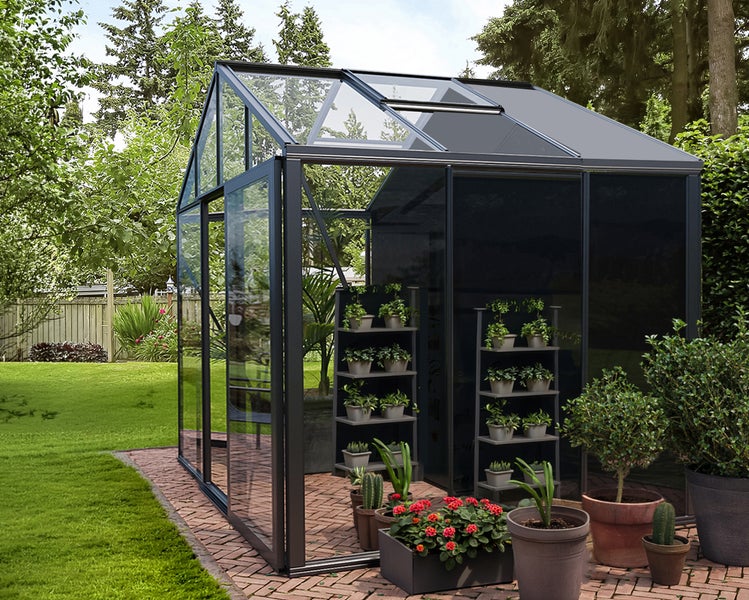 Modernes Gewächshaus aus Glas mit anthrazitfarbenem Aluminiumrahmen, Dachfenster und Regalen für Pflanzen in einem grünen Garten.