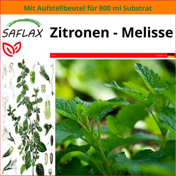 SAFLAX Garden in the bag - Zitronen - Melisse - Melissa officinalis - 150 Samen - Mit Anzuchtsubstrat im praktischen, selbst aufstellenden Beutel