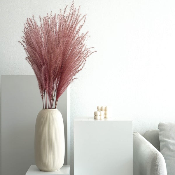 Federgras I Miscanthus-  1 Stiel