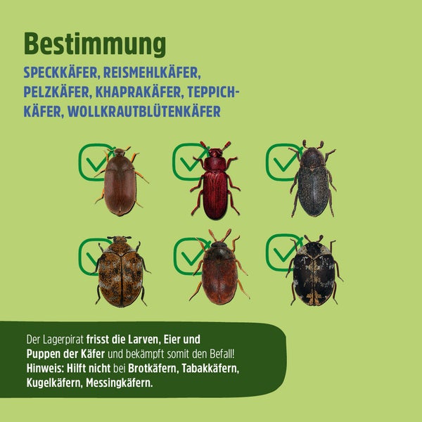 Nützling Lagerpiraten gegen Speckkäfer, Khaprakäfer und Reismehlkäfer