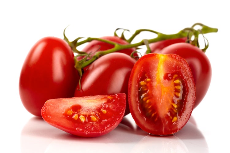 SAFLAX Geschenk Set - BIO - Tomate - Roma - Solanum lycopersicum - 15 Samen - Mit Geschenkbox, Versandaufkleber, Geschenkkarte und Anzuchtsubstrat