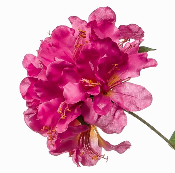 Künstliche Magnolie mit grünen Blättern und einer rosa Blüte.