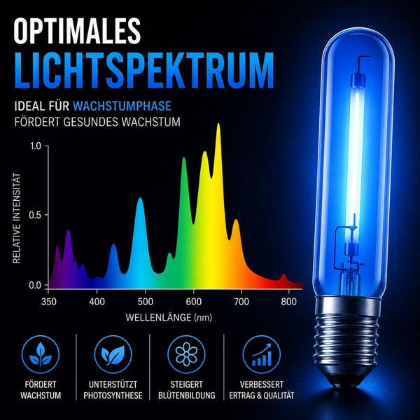 Infografik zu einer Pflanzenlampe mit Lichtspektrum-Diagramm, ideal für die Wachstumsphase zur Förderung von Wachstum und Photosynthese.