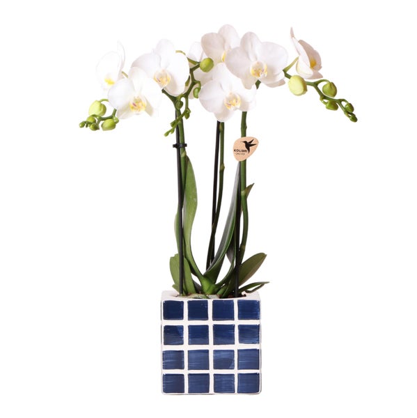 Übertopf-Trio Mosaik-Würfel - Set mit 3 bunten Töpfen - blau-sand - für 6cm Töpfe