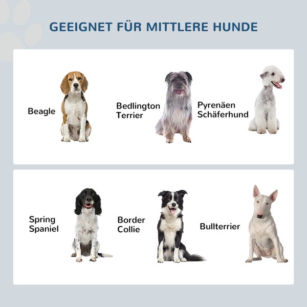 Geeignet für mittlere Hunde: Übersicht mit Beagle, Bedlington Terrier, Pyrenäen Schäferhund, Spring Spaniel, Border Collie und Bullterrier.