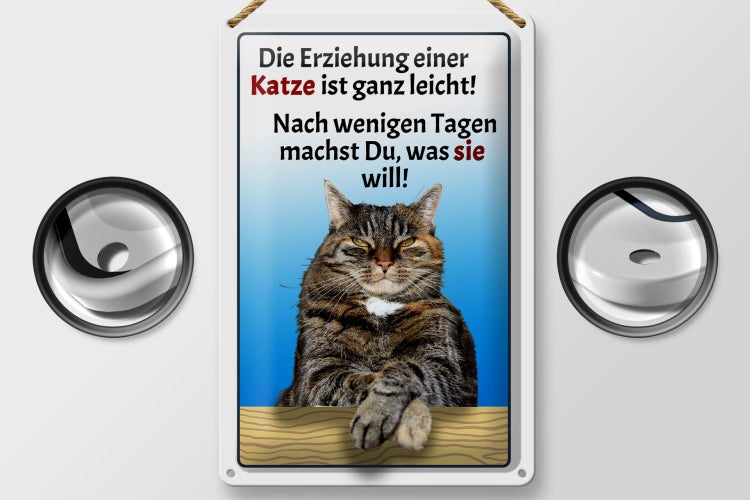 Blechschild Spruch 20x30cm die Erziehung einer Katze leicht