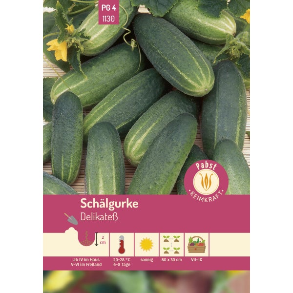 Schälgurke früh & mittellang Delikateß Samen von Pabst Keimkraft