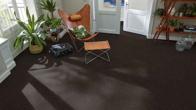 Moderner Wohnraum mit dunkelbraunem Teppichboden, Leder-Butterfly-Sessel mit Hocker, grünen Pflanzen und natürlichem Lichteinfall.