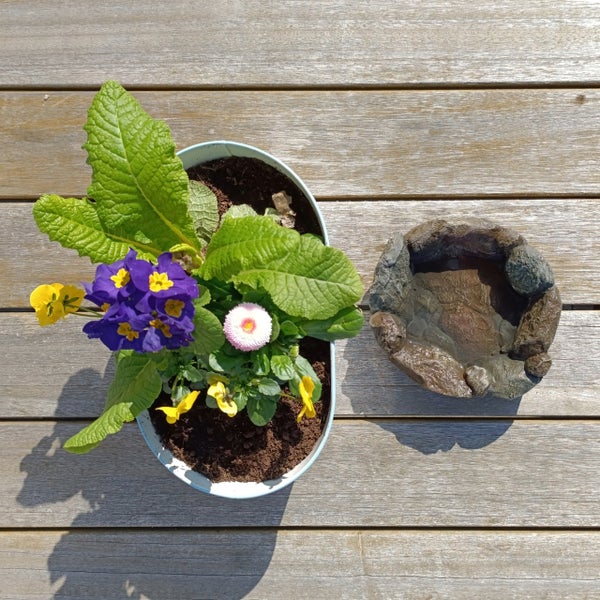 Ein ovaler Pflanztopf mit bunten Blumen wie Primeln und Stiefmütterchen neben einer kleinen Vogeltränke in Steinoptik auf Holzdielen.