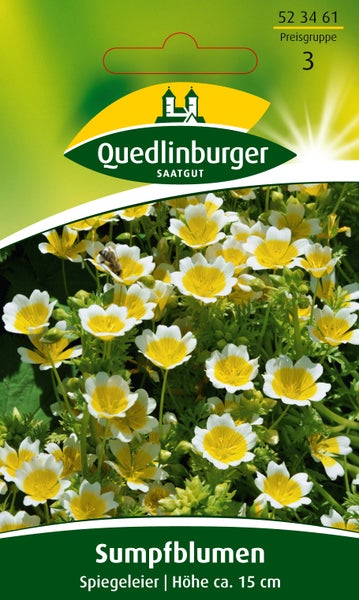 Quedlinburger Saatgut Samen für Sumpfblumen Spiegeleier, Wuchshöhe circa 15 Zentimeter, Quedlinburger Saatgut Logo.