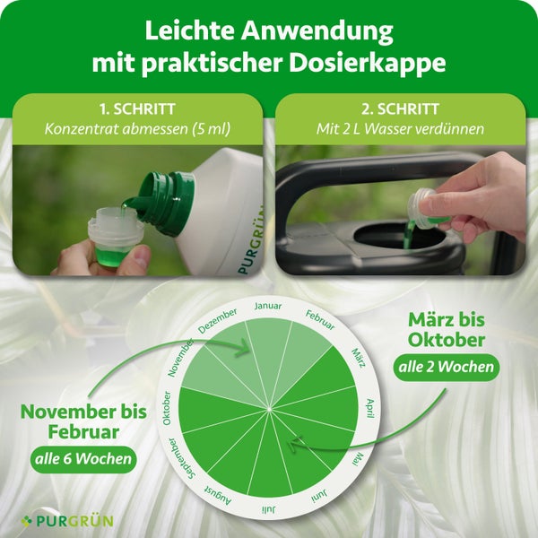 Anleitung: 5 Milliliter Konzentrat abmessen, mit 2 Liter Wasser mischen. Anwendung alle zwei Wochen von März bis Oktober. Purgrün Logo.