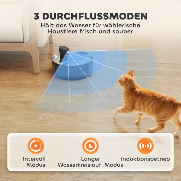 Katze vor dem Katzenbrunnen mit drei Durchflussmodi