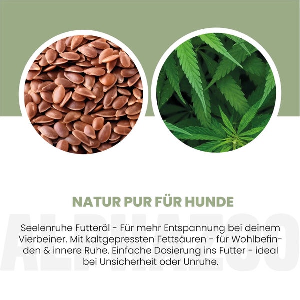 Natur pur für Hunde, mit Abbildungen von Leinsamen und Cannabisblättern