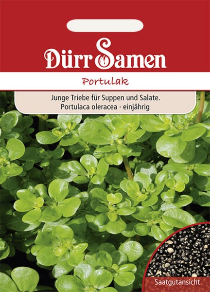 Rückseite einer Saatband-Verpackung für Möhren, Radieschen und Salat mit Informationen zu Anbau und Standort auf nachhaltigem Graspapier.